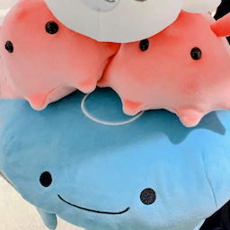 せしのプロフィール画像