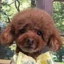 karyoのプロフィール画像